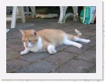 Tommy en Tymo 276 * 2048 x 1536 * (968KB)